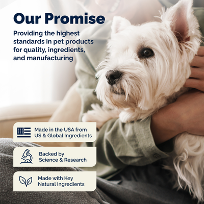 Glandex® Anal Gland Wipes for Dogs & Cats
