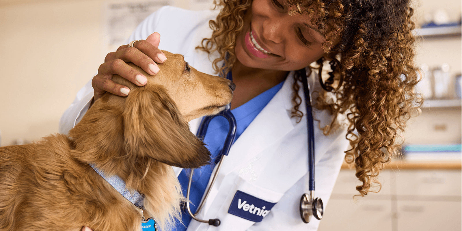 Dr. Joya Griffin examining a dog in a vet clinic
