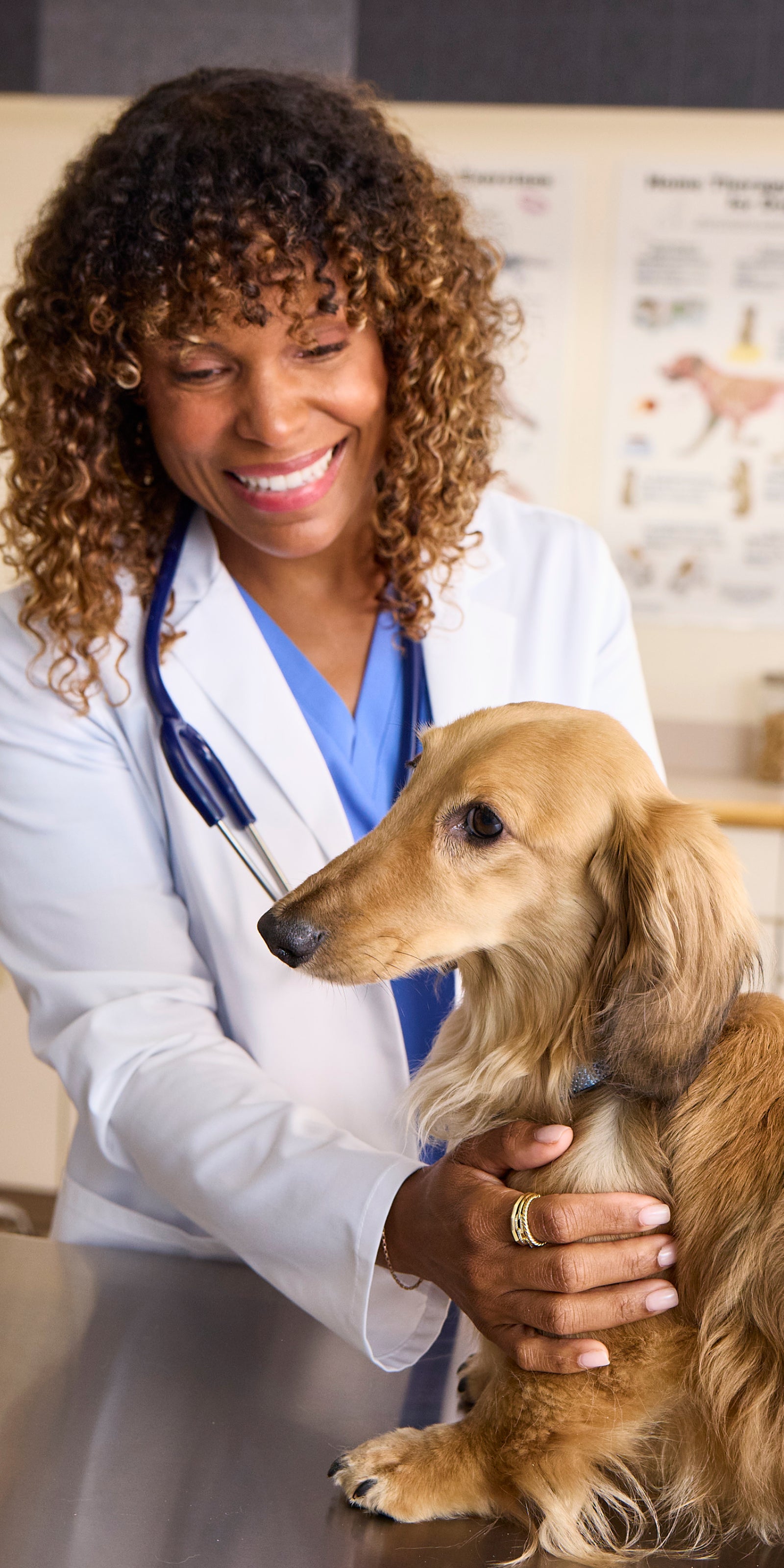 Dr. Joya Griffin examining a dog in a vet clinic
