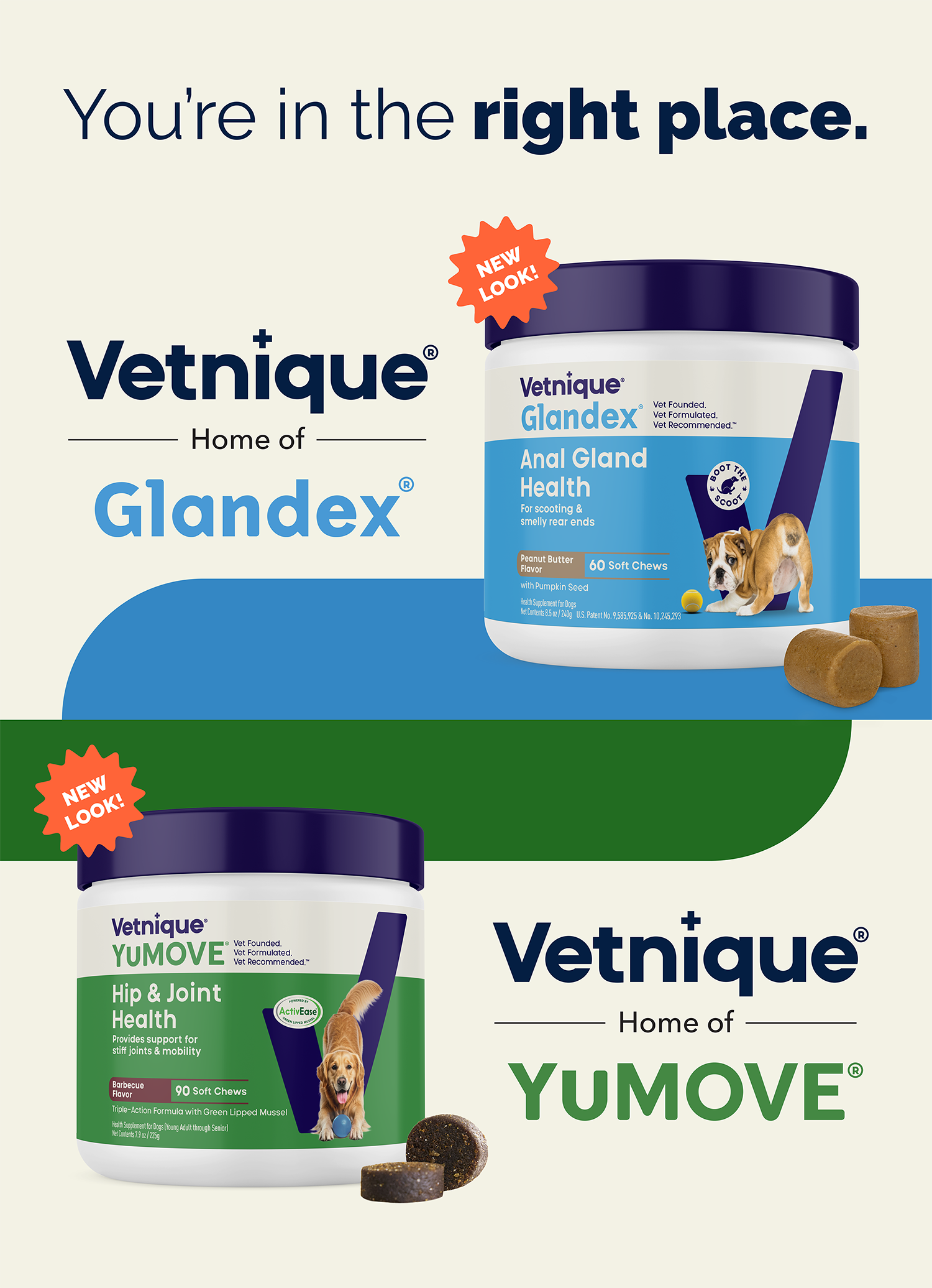 You're in the right place. Vetnique, home of Glandex products with Anal Gland Health supplement pictured. Bulldog on blue background. Vetnique, home of YuMOVE products with Hip & Joint Health supplement pictured. Golden retriever on green background.