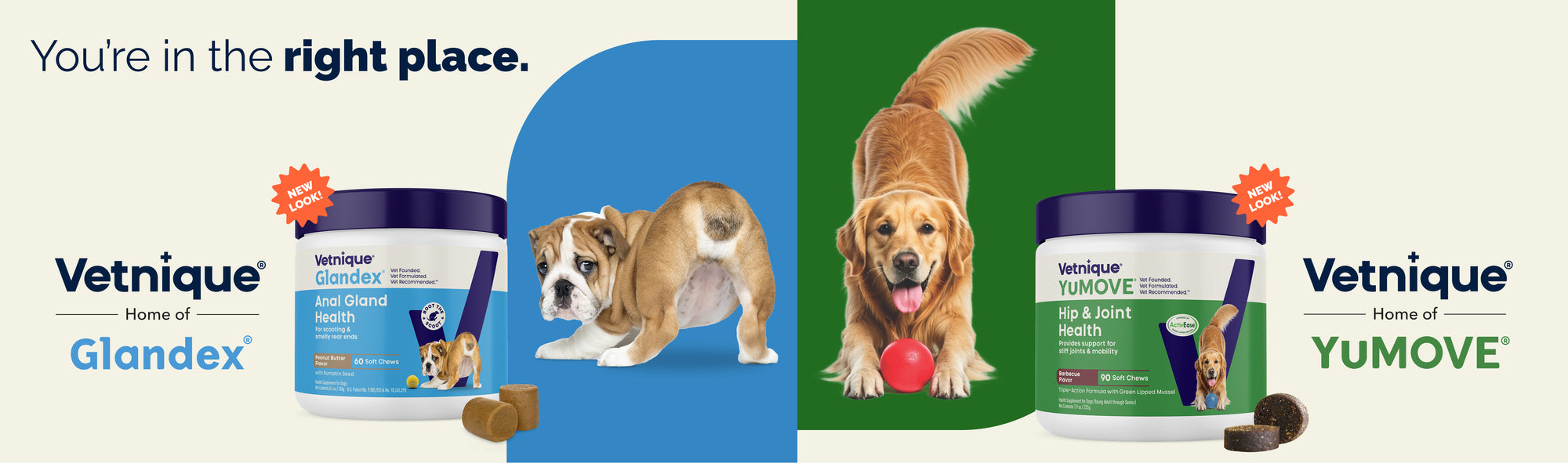 You're in the right place. Vetnique, home of Glandex products with Anal Gland Health supplement pictured. Bulldog on blue background. Vetnique, home of YuMOVE products with Hip & Joint Health supplement pictured. Golden retriever on green background.