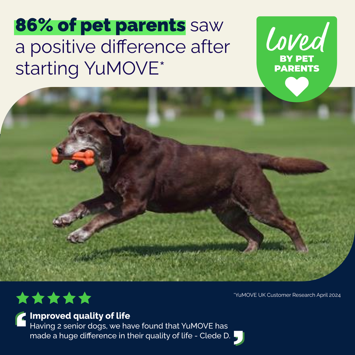 YuMOVE Senior Hip & Joint Health Tablets