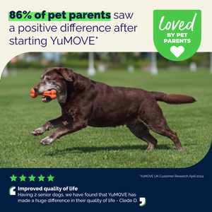 YuMOVE Senior Hip & Joint Health Tablets
