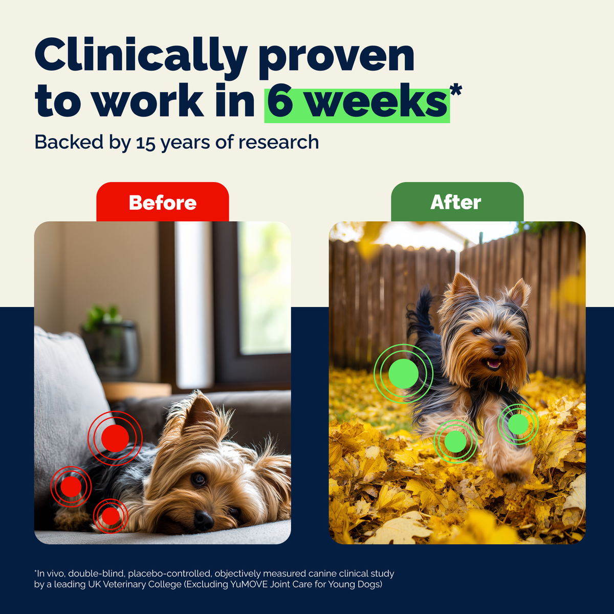 YuMOVE Hip & Joint Health for Small Dogs