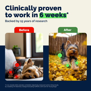 YuMOVE Hip & Joint Health for Small Dogs