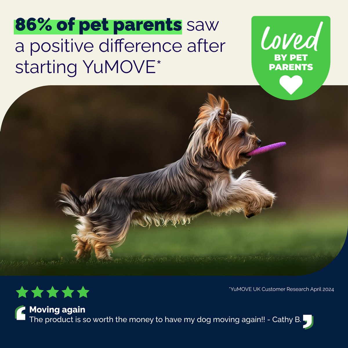 YuMOVE Hip & Joint Health for Small Dogs