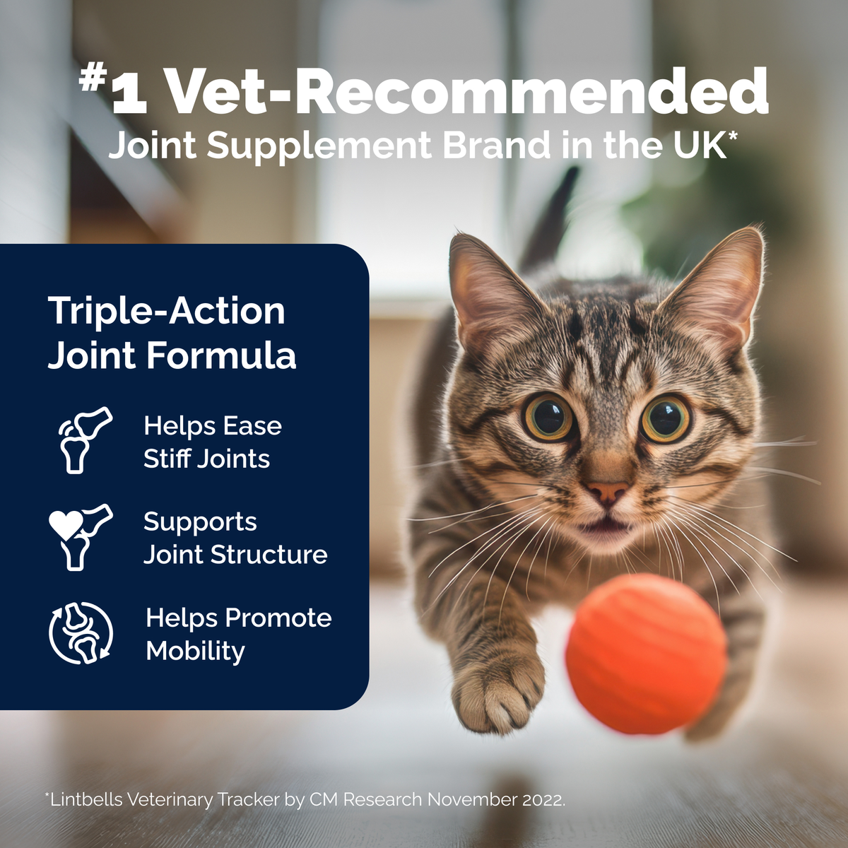 YuMOVE Feline Hip & Joint Capsules