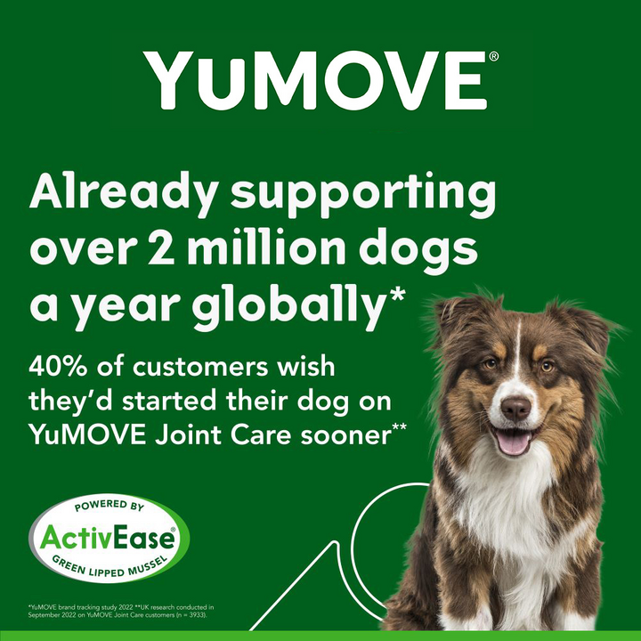 YuMOVE Joint Supplement for Adult Dogs I Tablets