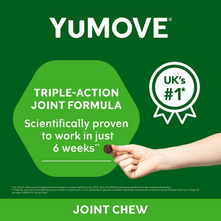 YuMOVE Joint Supplement for Adult Dogs I Soft Chews