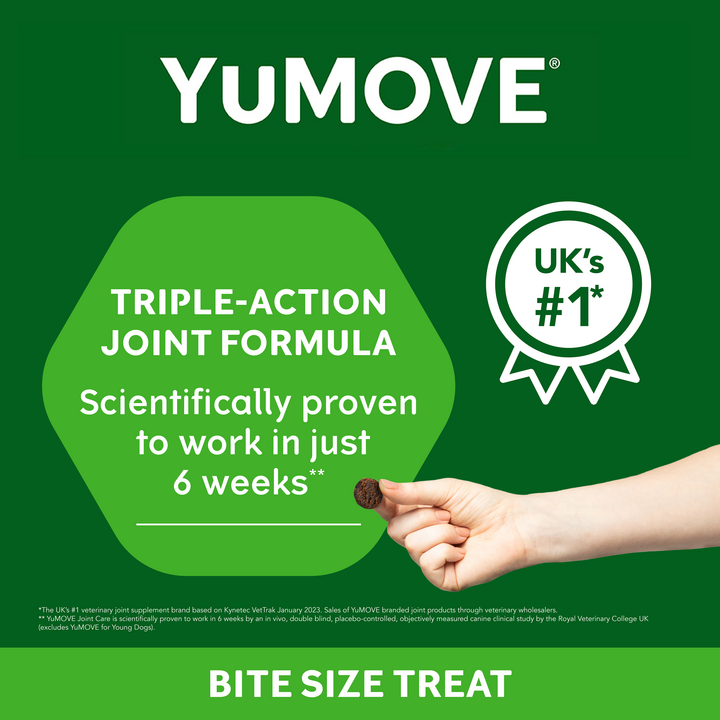 YuMOVE Joint Supplement for Adult Dogs I Tasty Bites Soft Chews