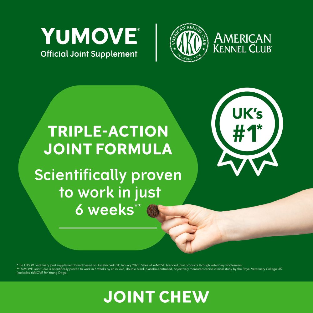 YuMOVE Joint Supplement for Adult Dogs I Soft Chews