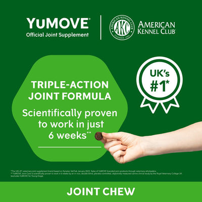 YuMOVE Joint Supplement for Adult Dogs I Soft Chews