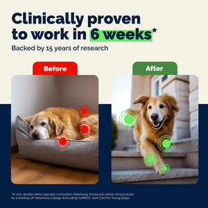 YuMOVE Advanced Vet Strength Hip & Joint Health Tablets