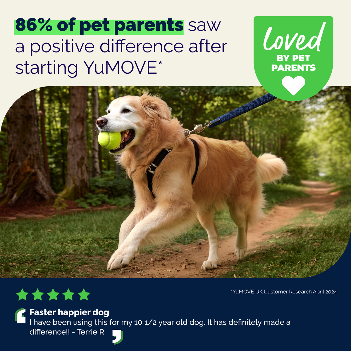 YuMOVE Advanced Vet Strength Hip & Joint Health Tablets