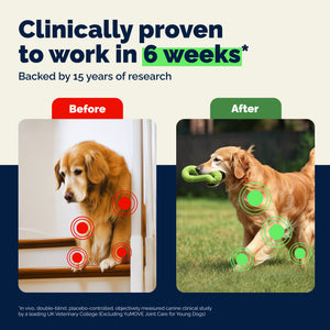 YuMOVE Advanced Vet Strength Hip & Joint Health Chews