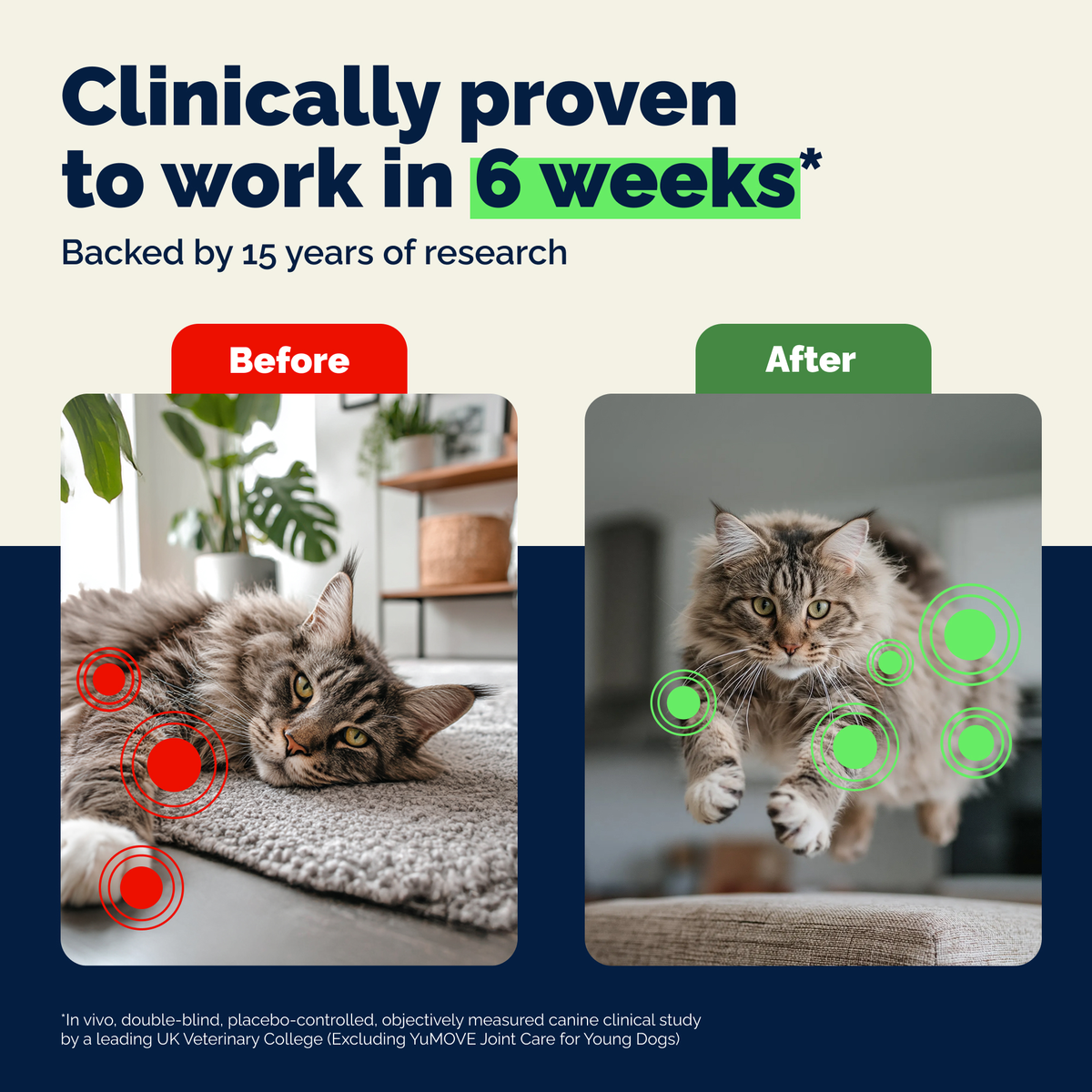 YuMOVE Feline Hip & Joint Capsules