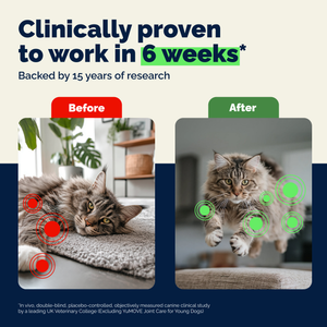 YuMOVE Feline Hip & Joint Capsules