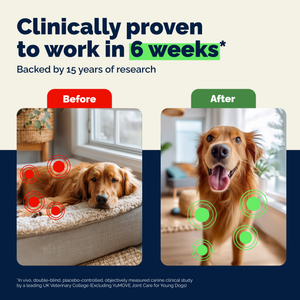YuMOVE Hip & Joint Health Soft Chews