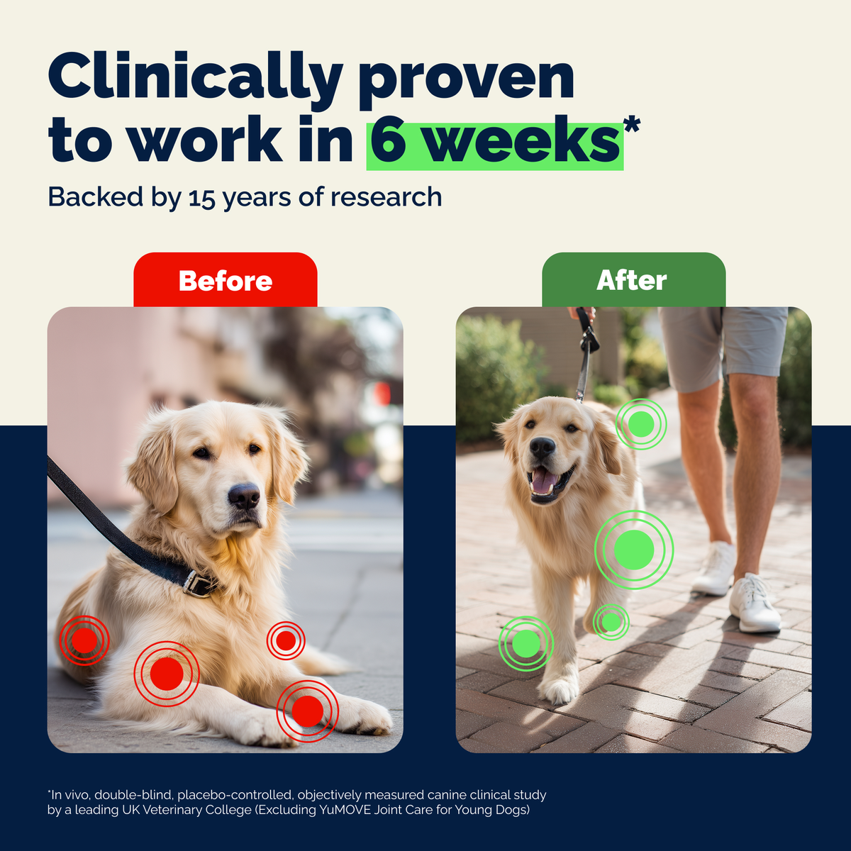 YuMOVE Hip & Joint Health Supplement for Adult Dogs I Tablets