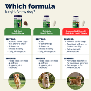 YuMOVE Hip & Joint Health Supplement for Adult Dogs I Tablets