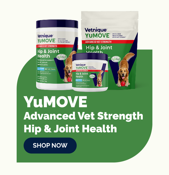 Three containers of Vetnique YuMOVE Hip & Joint Health supplement for dogs on a green background with 'Shop Now' button.
