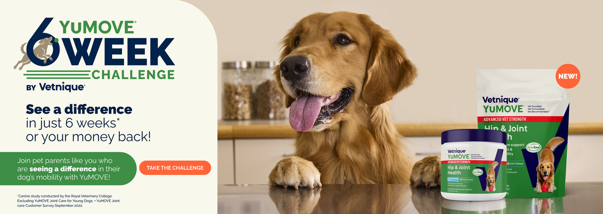 YuMOVE 6 Week Challenge by Vetnique with a dog and product packaging.