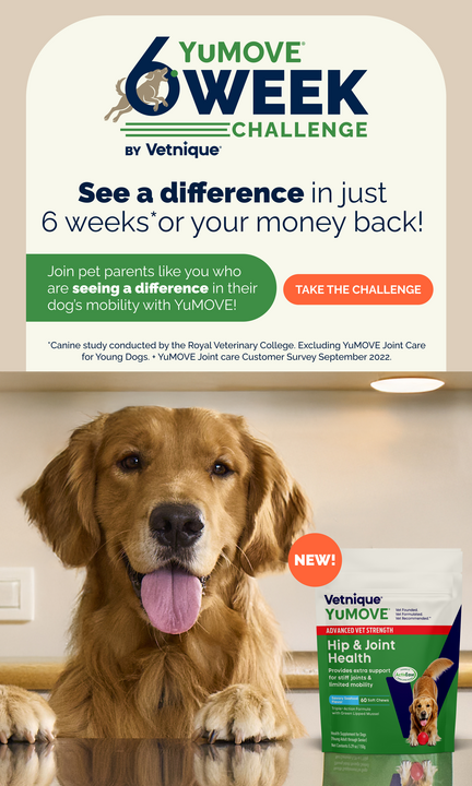 YuMOVE 6 Week Challenge by Vetnique with a dog and product packaging.