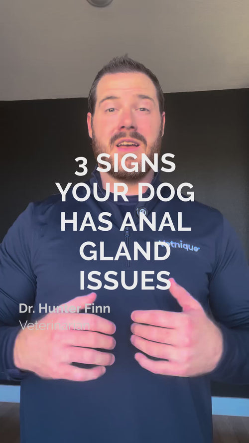 Anal gland health