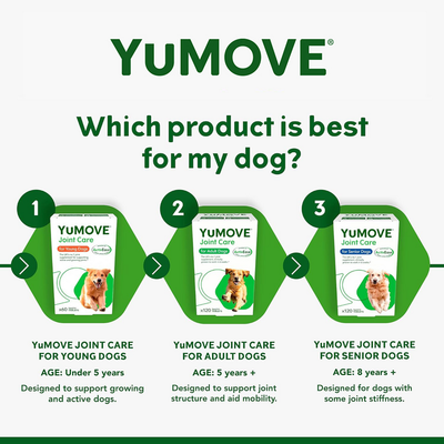 YuMOVE Joint Supplement for Adult Dogs I Tablets