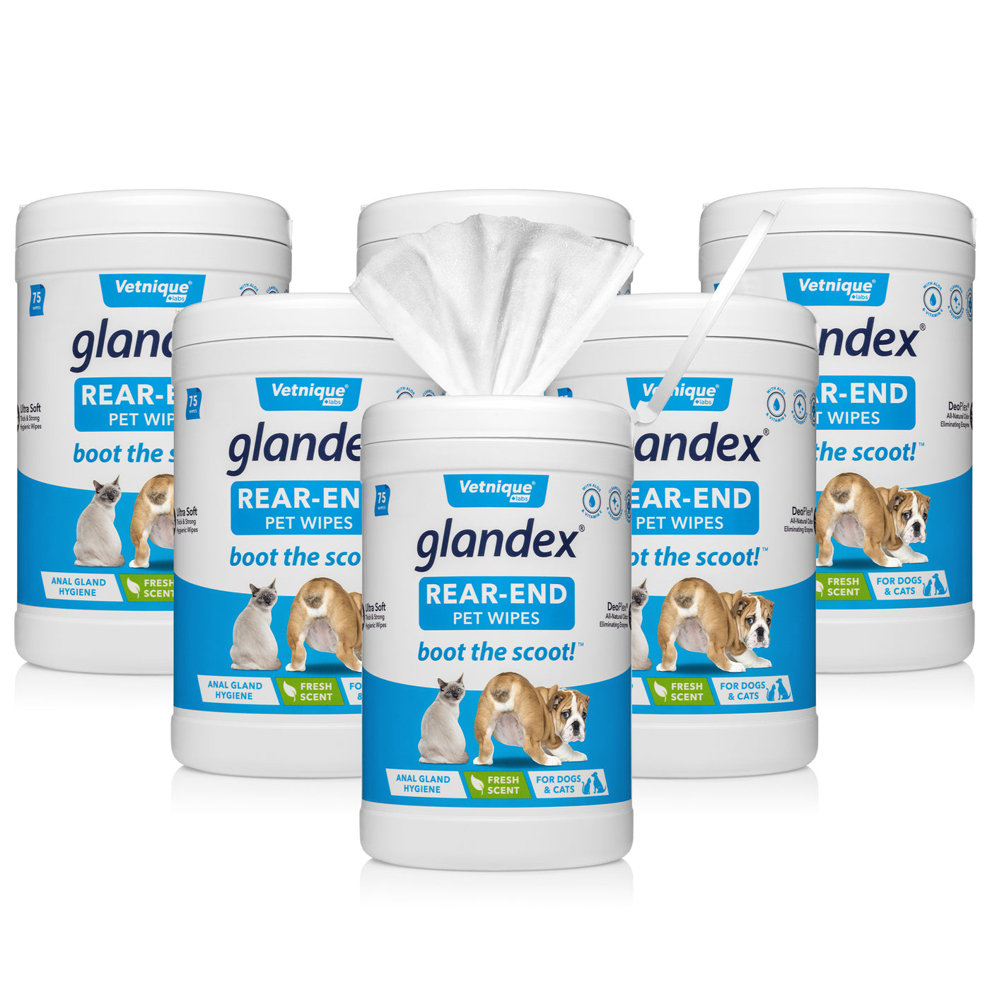 6 Pack 75 Count Glandex Rear End Pet Wipes