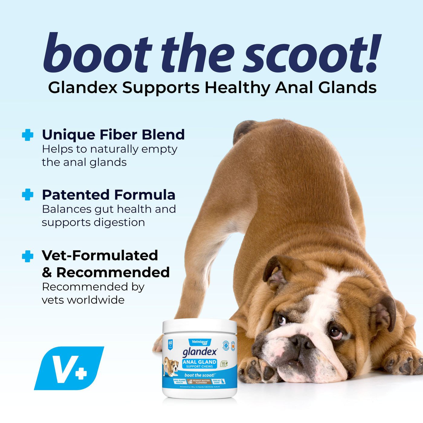 Glandex® Anal Gland Supplement Chews for Dogs with Pumpkin - Boot the Scoot