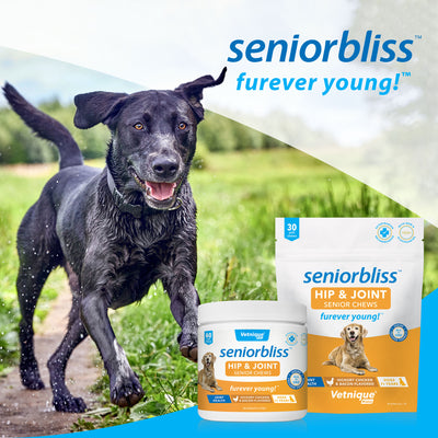 Seniorbliss Furever Young