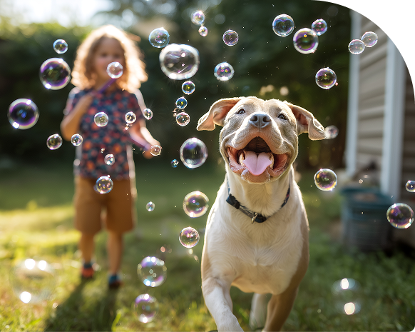 Happy dog playing outdoors